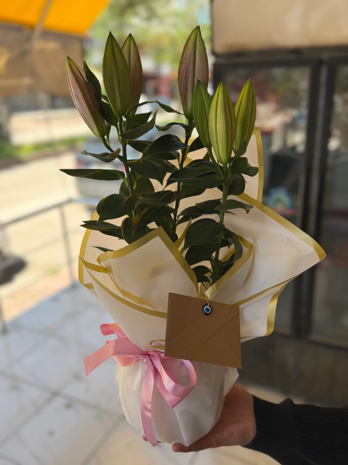 Pembe Saksı Lilyum