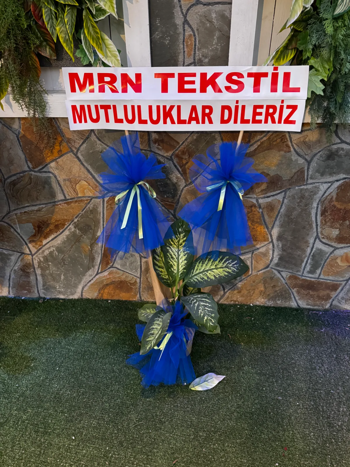 Tekli Difenbahya