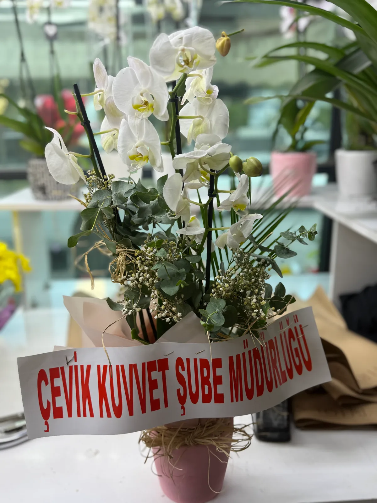 Çiftli Orkide İthal