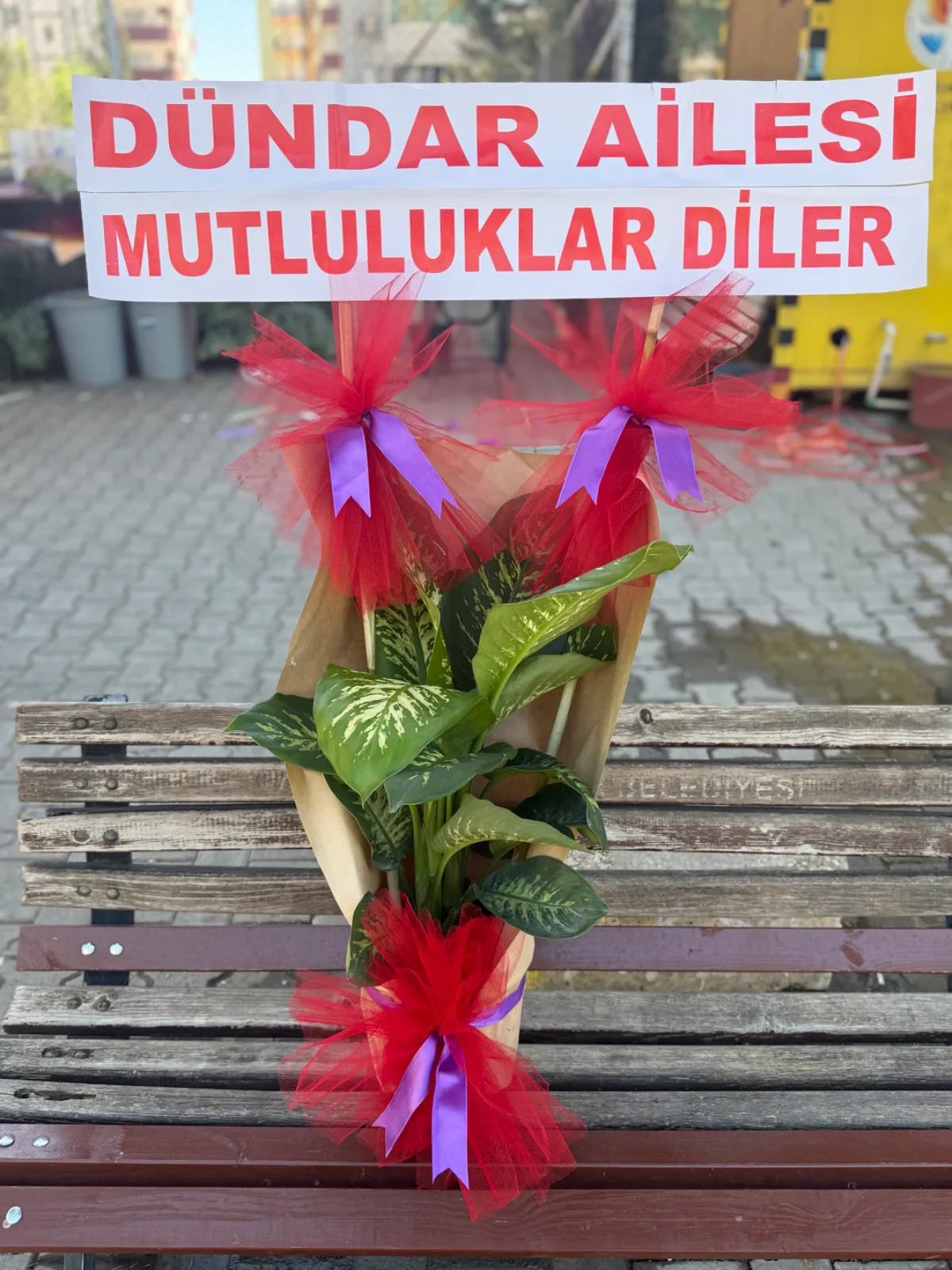 Tekli Difenbahya